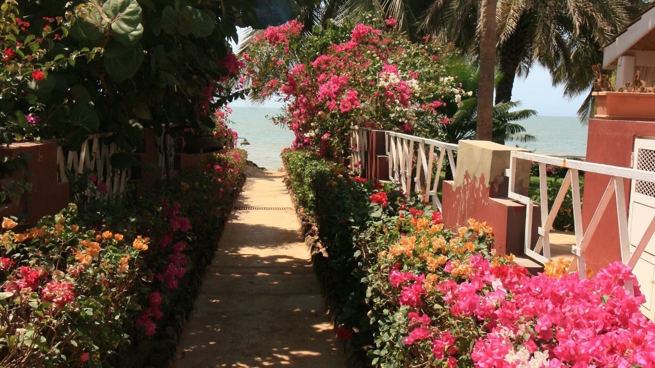 Photo of Outdoor in Mbour