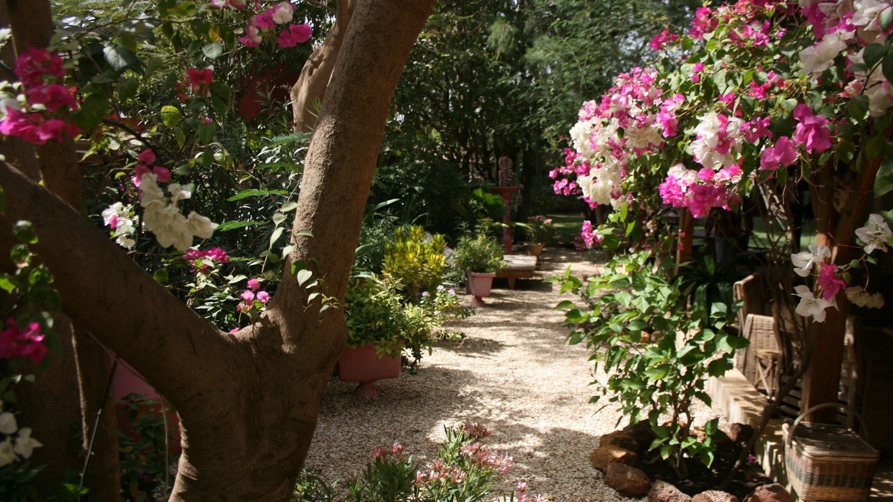 Photo of Outdoor in Mbour