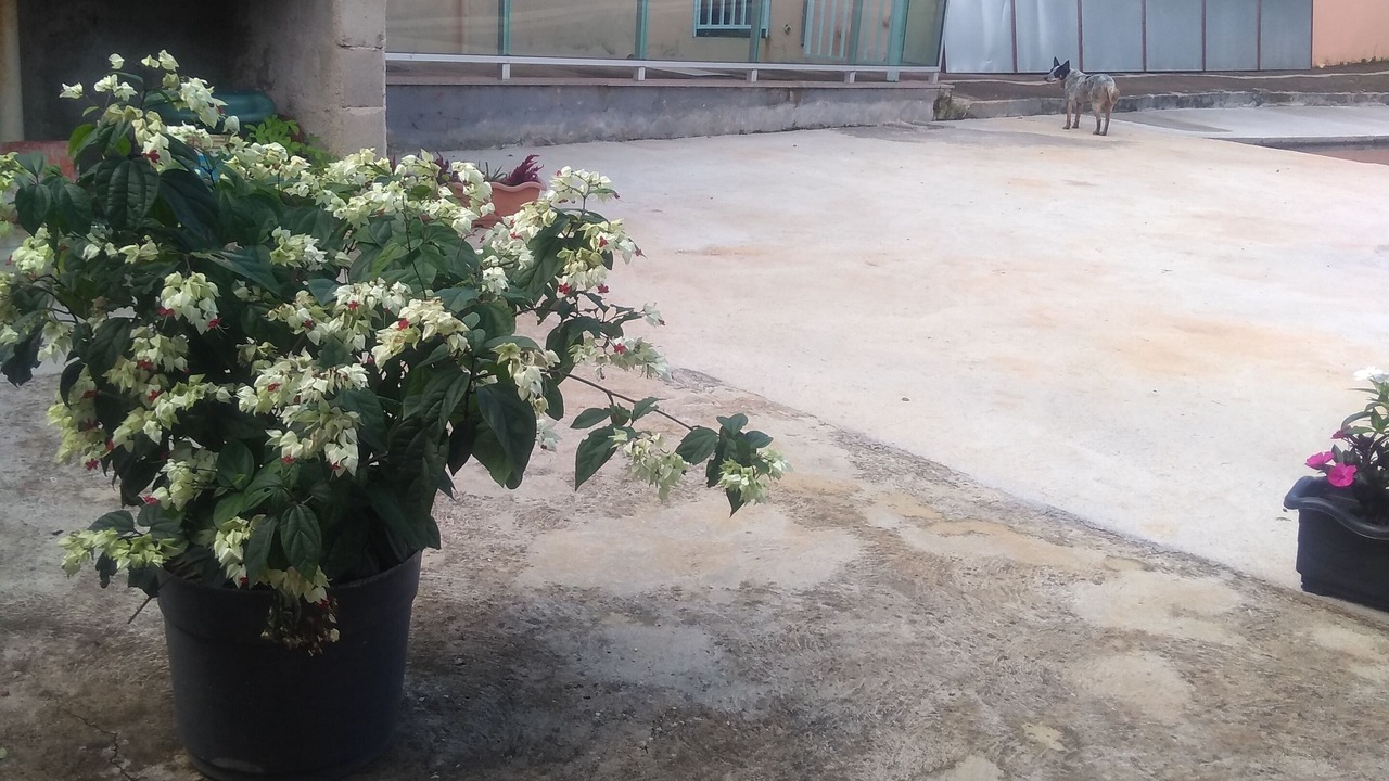 Photo of Outdoor in Estiva