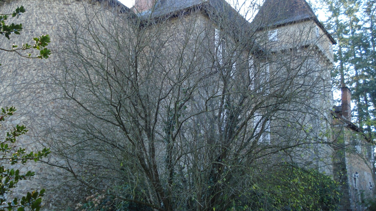 Photo of Others in Saint-Just-le-Martel