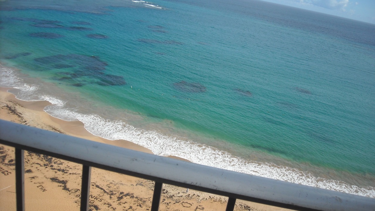 Photo of Others in La Pared
