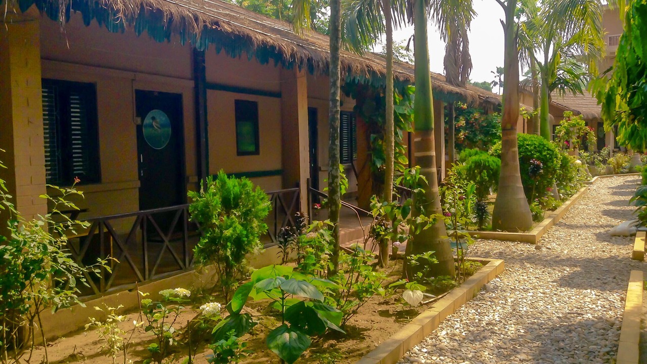 Photo of Outdoor in Sauraha