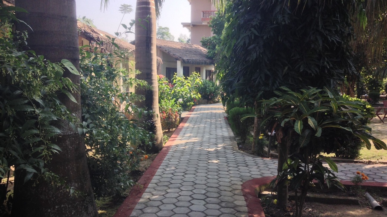 Photo of Outdoor in Sauraha