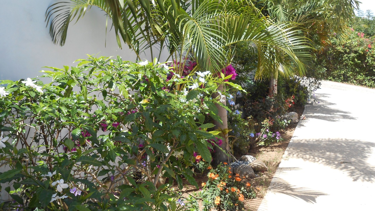 Photo of Outdoor in Puerto Ferro