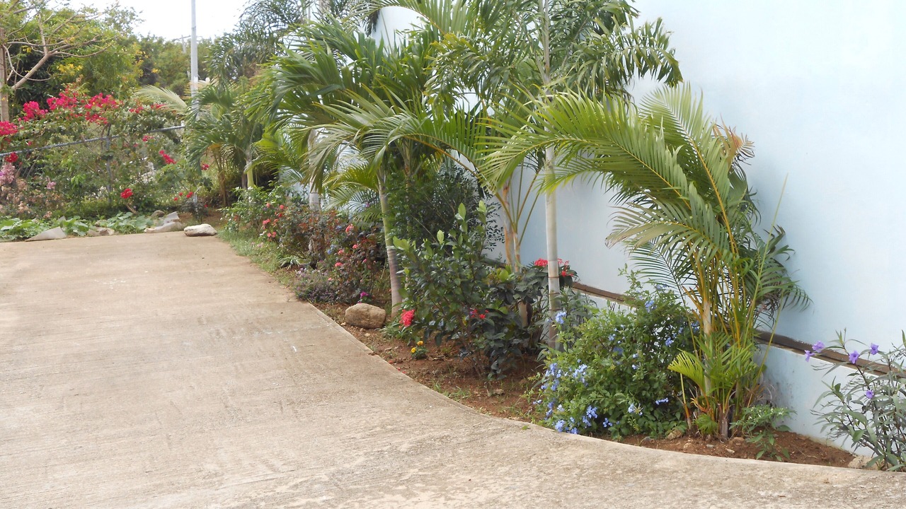 Photo of Outdoor in Puerto Ferro