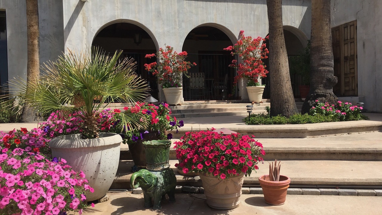 Photo of Outdoor in Catalina Foothills Estates