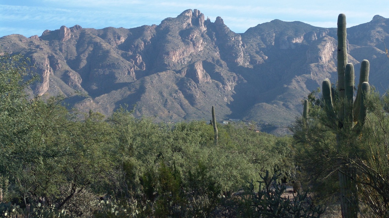 Photo of Bedroom in Catalina Foothills Estates