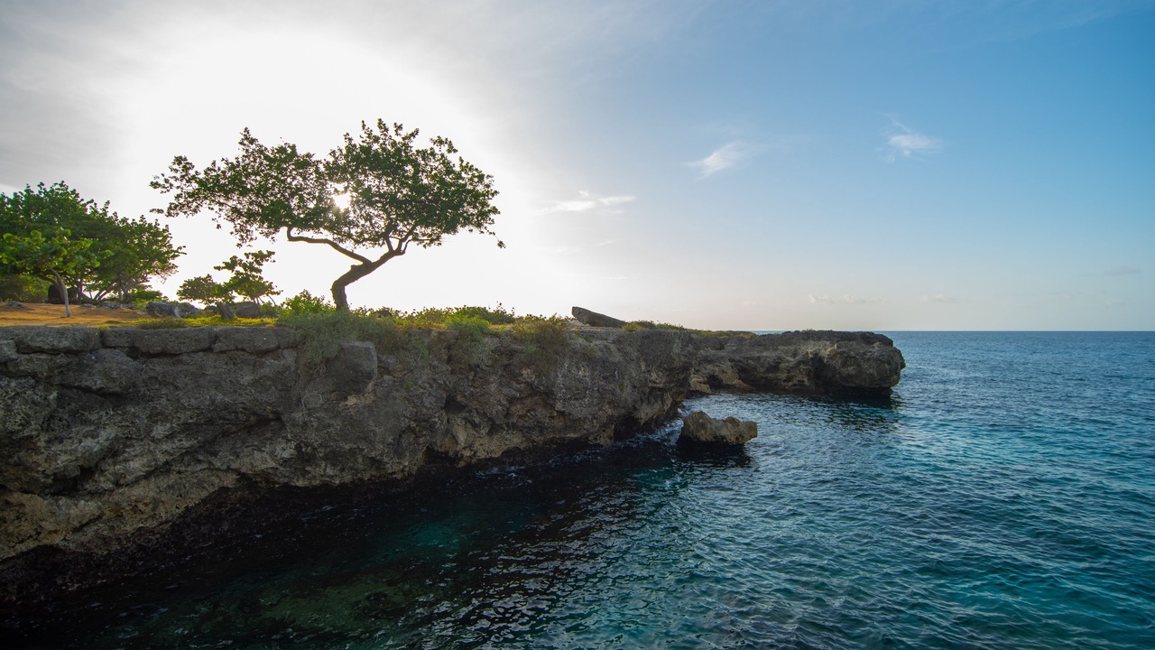 Photo of Others in St. Ann's Bay