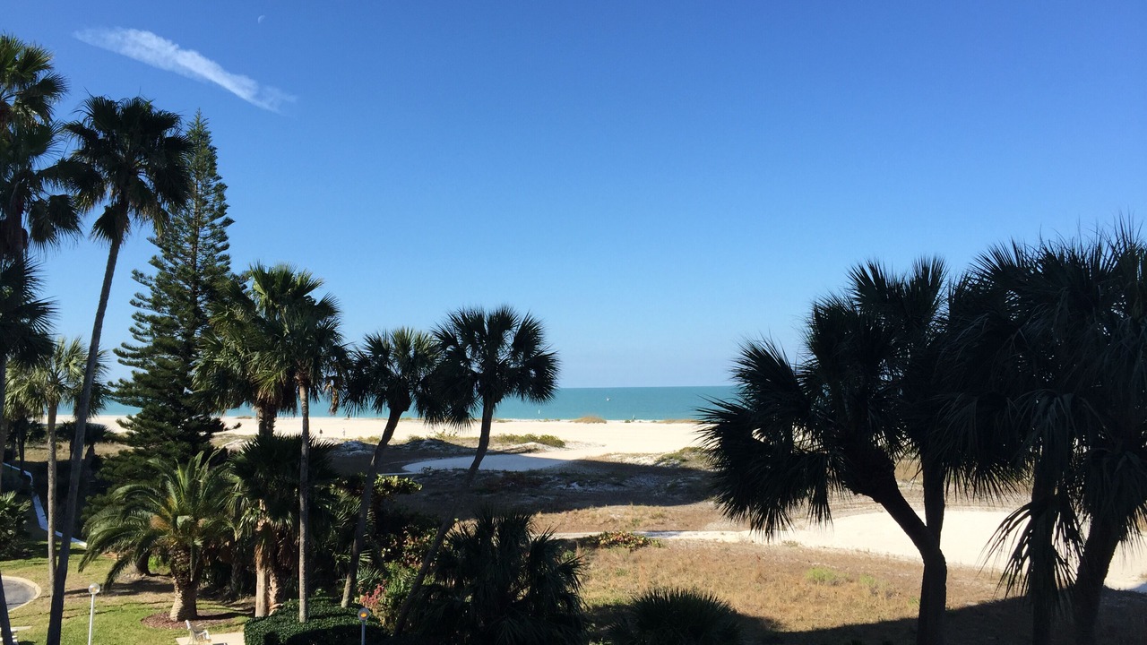 Photo of Others in Sand Key