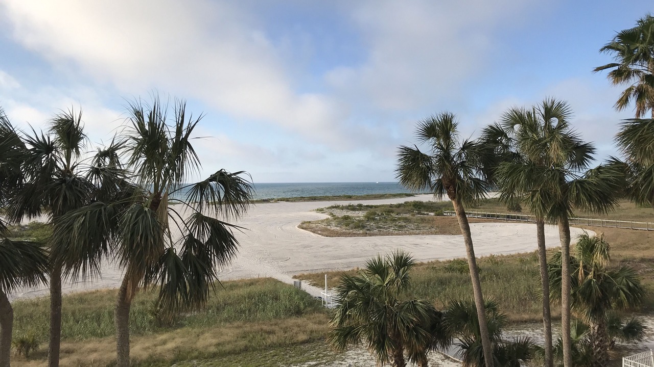 Photo of Others in Sand Key
