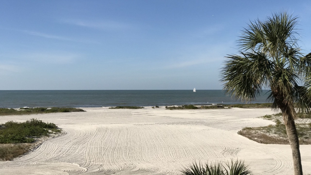 Photo of Others in Sand Key