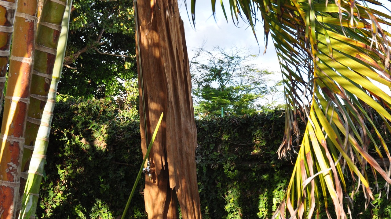 Photo of Outdoor in Saint Felix