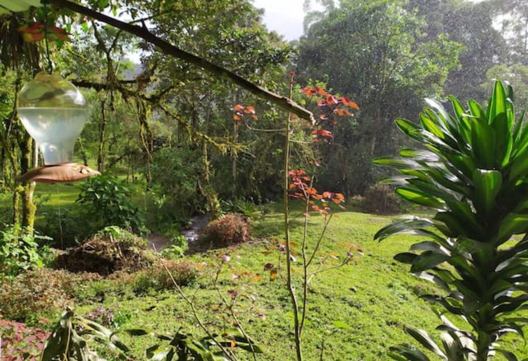 Photo of Outdoor in Mindo