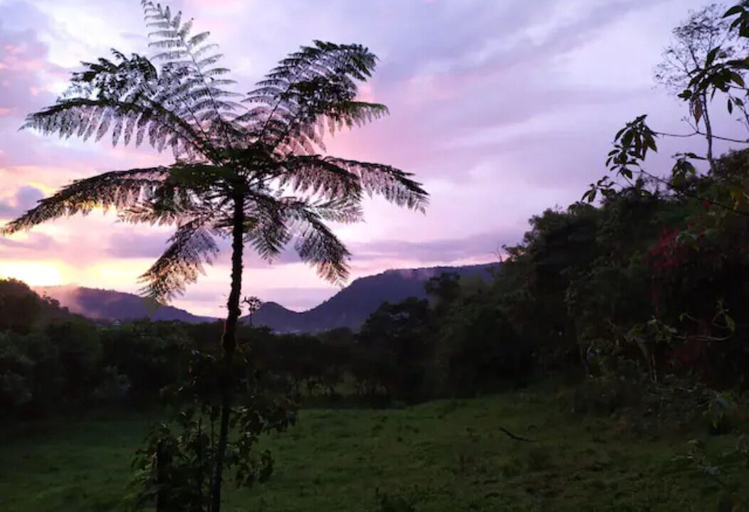 Photo of Outdoor in Mindo