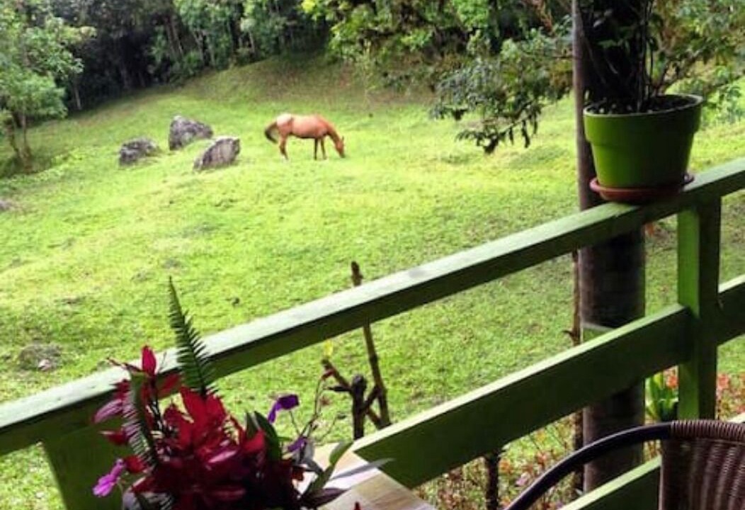Photo of Outdoor in Mindo