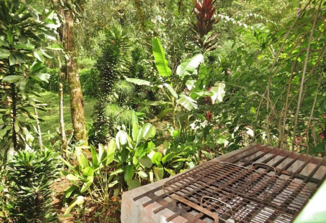 Photo of Outdoor in Mindo