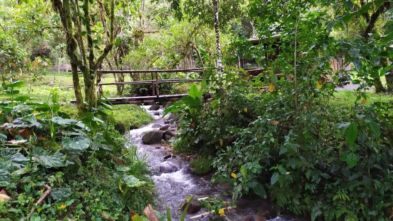 Photo of Outdoor in Mindo