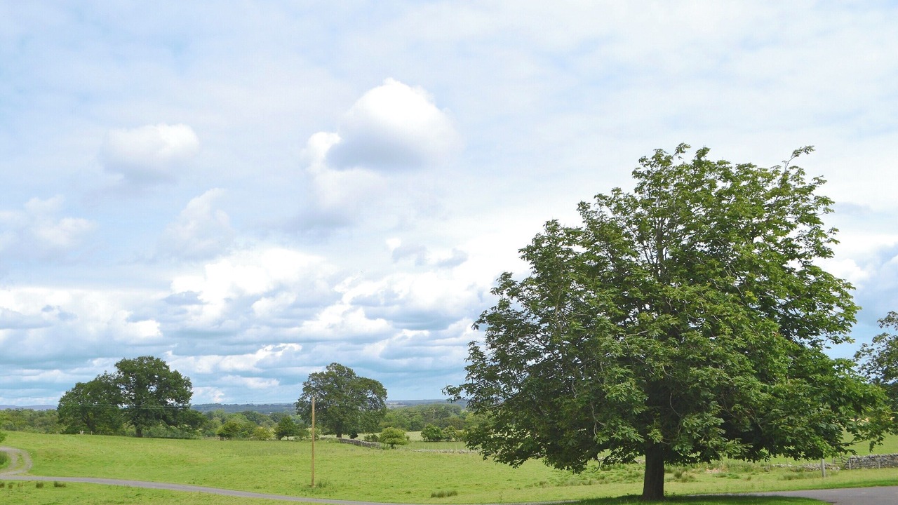 Photo of Others in Hallington