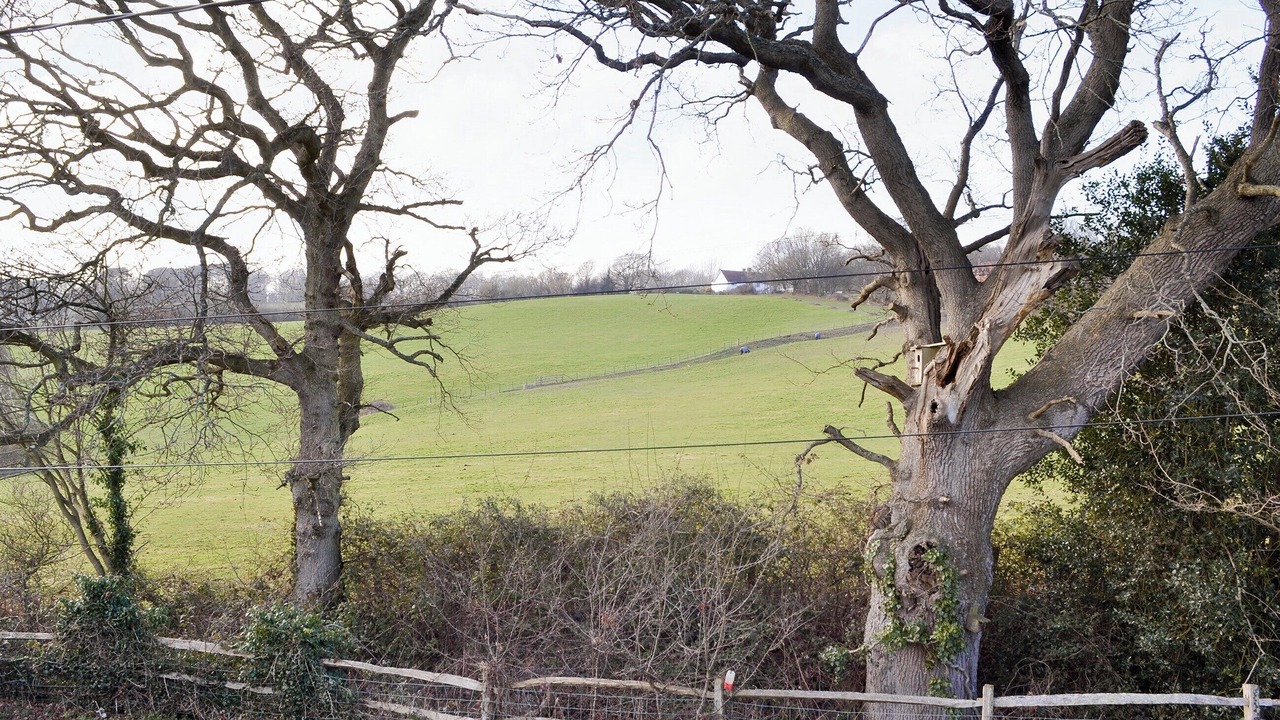 Photo of Others in Rye