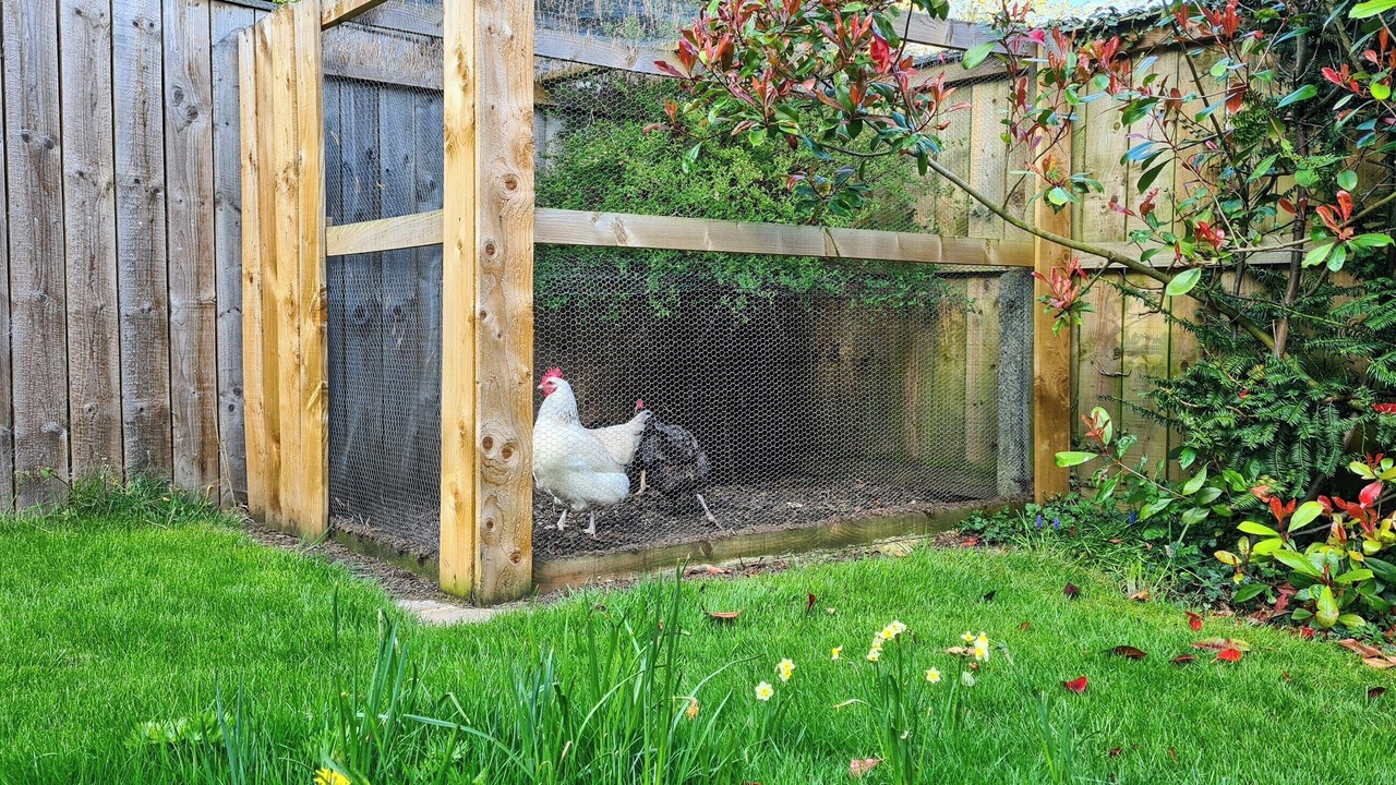 Photo of Outdoor in Hexham