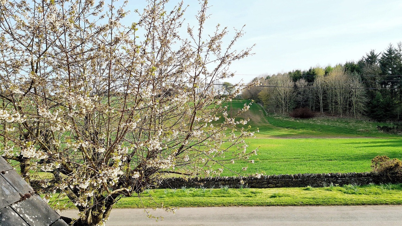 Photo of Others in Hexham
