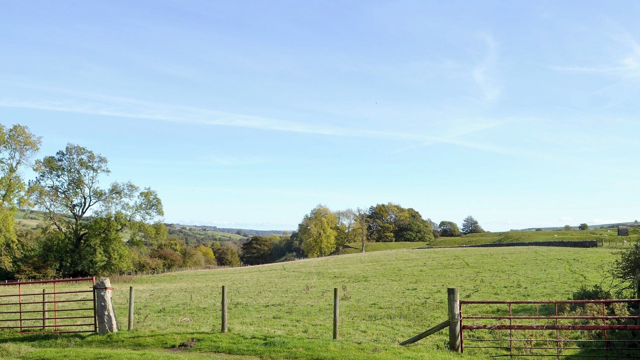 Photo of Others in Frosterley