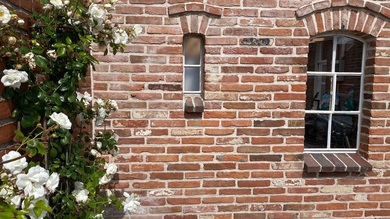 Photo of Outdoor in Greetsiel