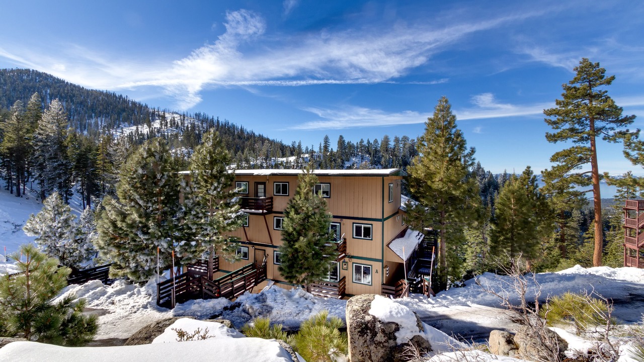 Photo of Others in Tahoe Village
