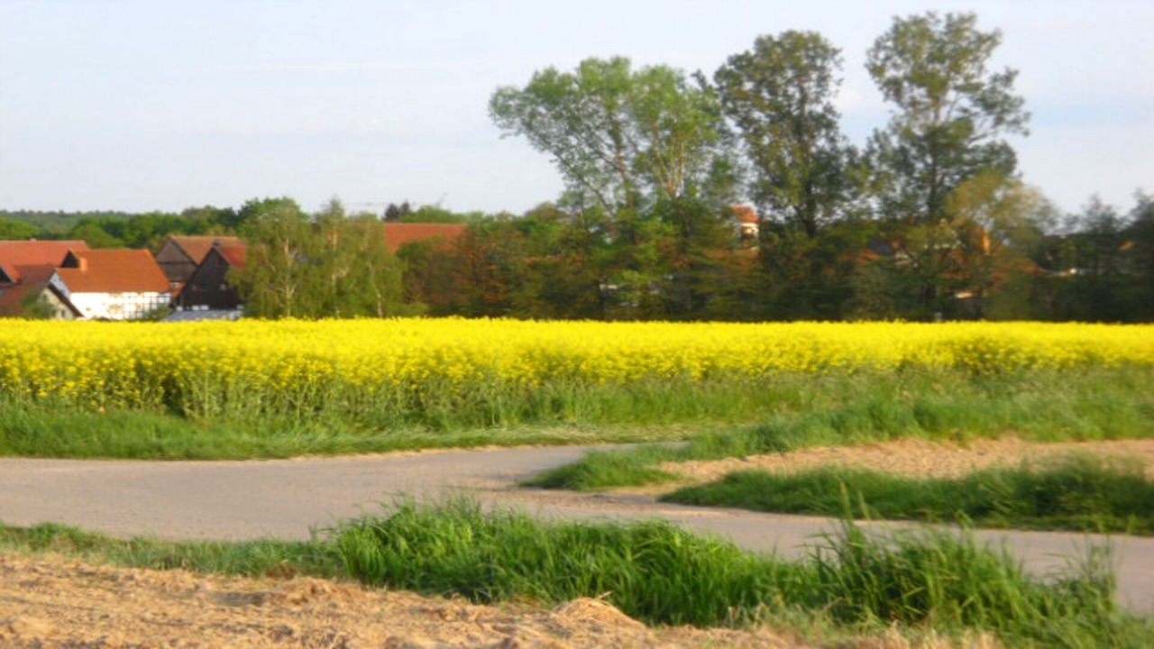 Photo of Outdoor in Herrentrup