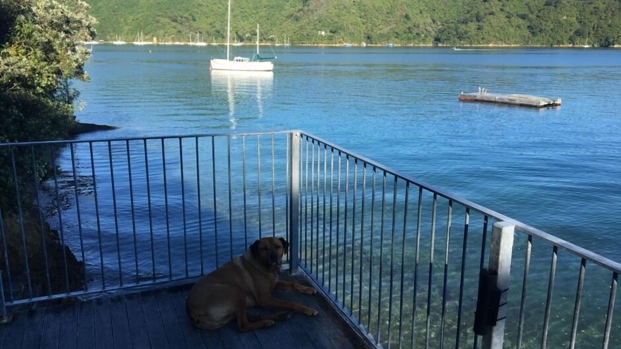 Photo of Outdoor in Waikawa Bay