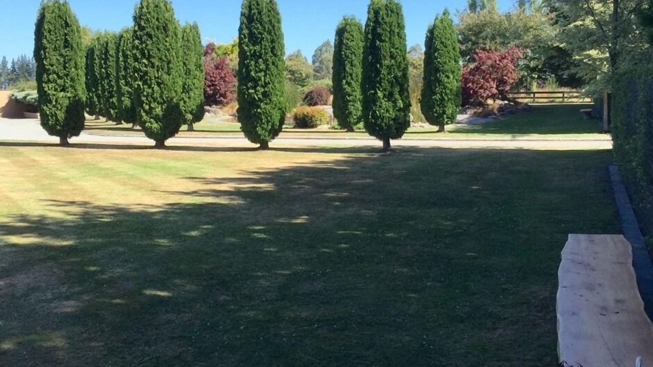 Photo of Others in Swannanoa