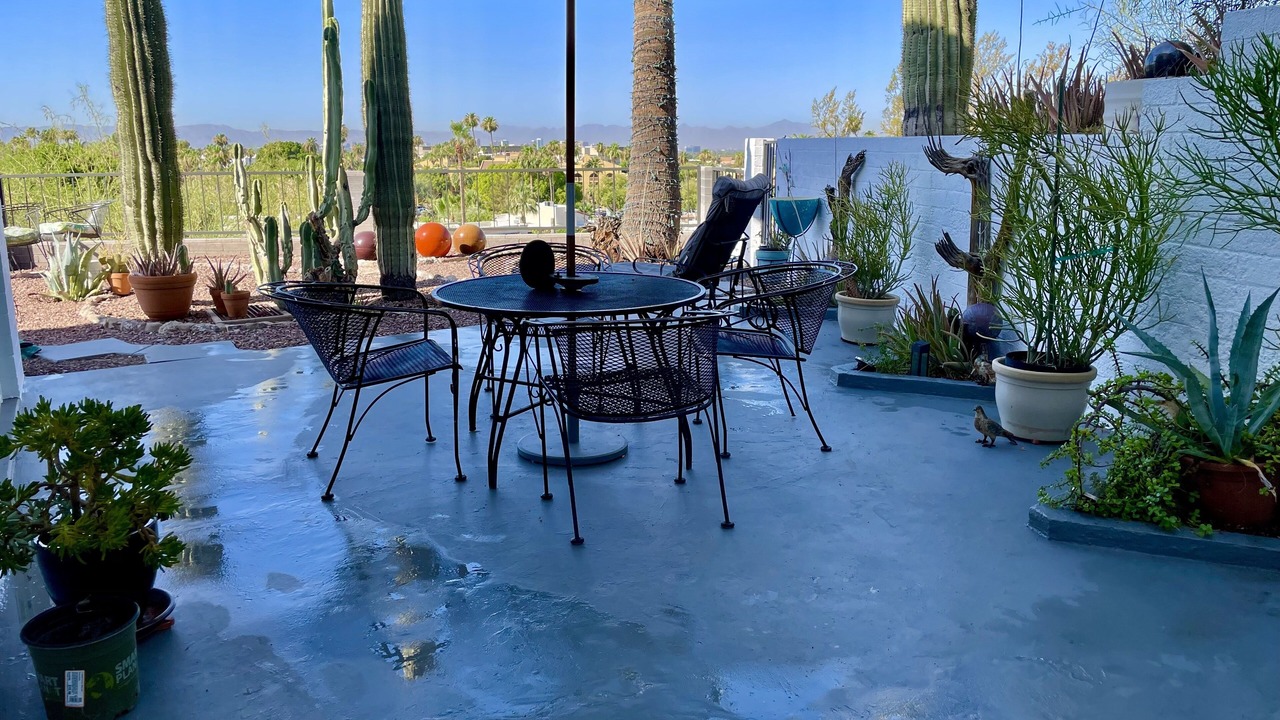 Photo of Others in Camelback East