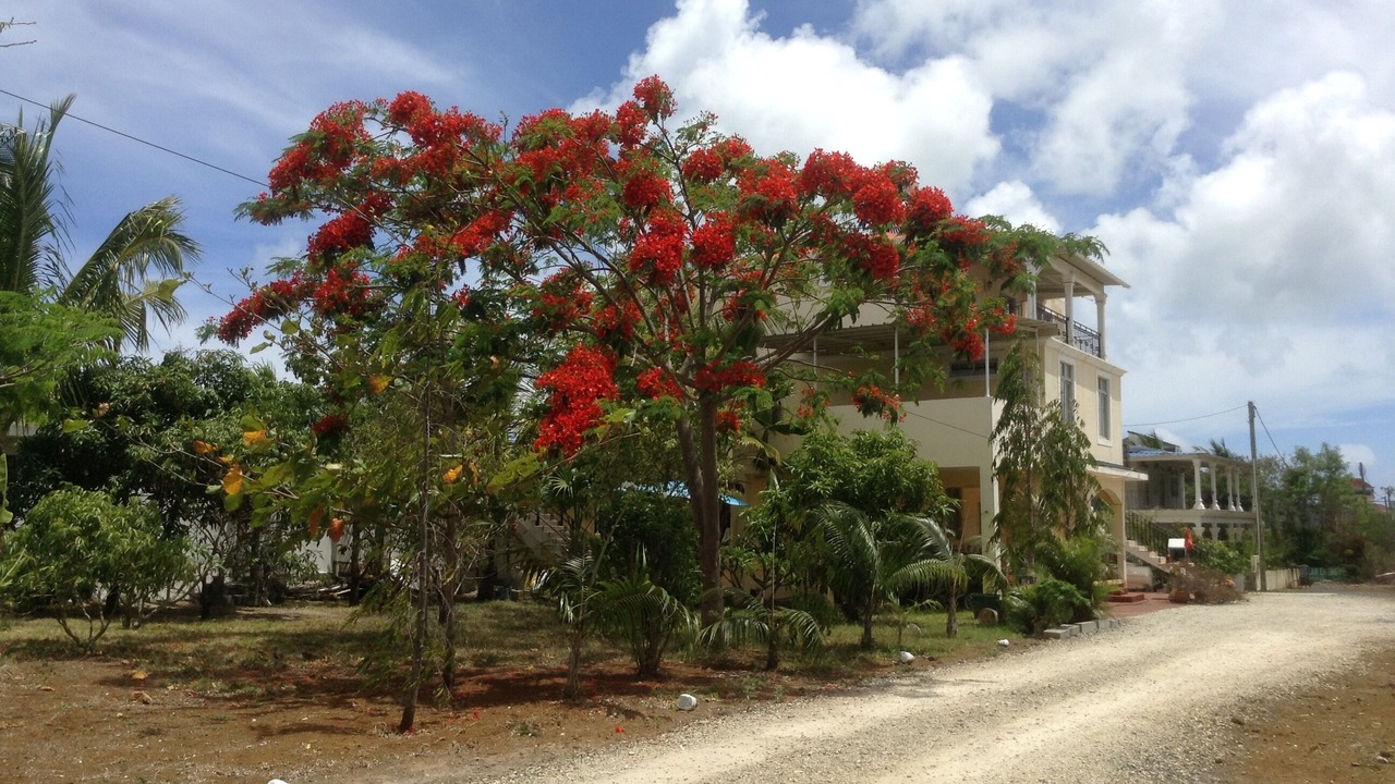 Photo of Outdoor in Trou aux Biches
