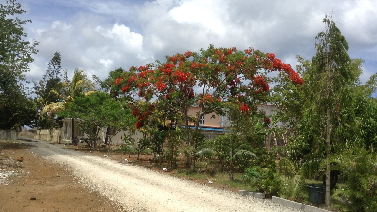 Photo of Outdoor in Trou aux Biches