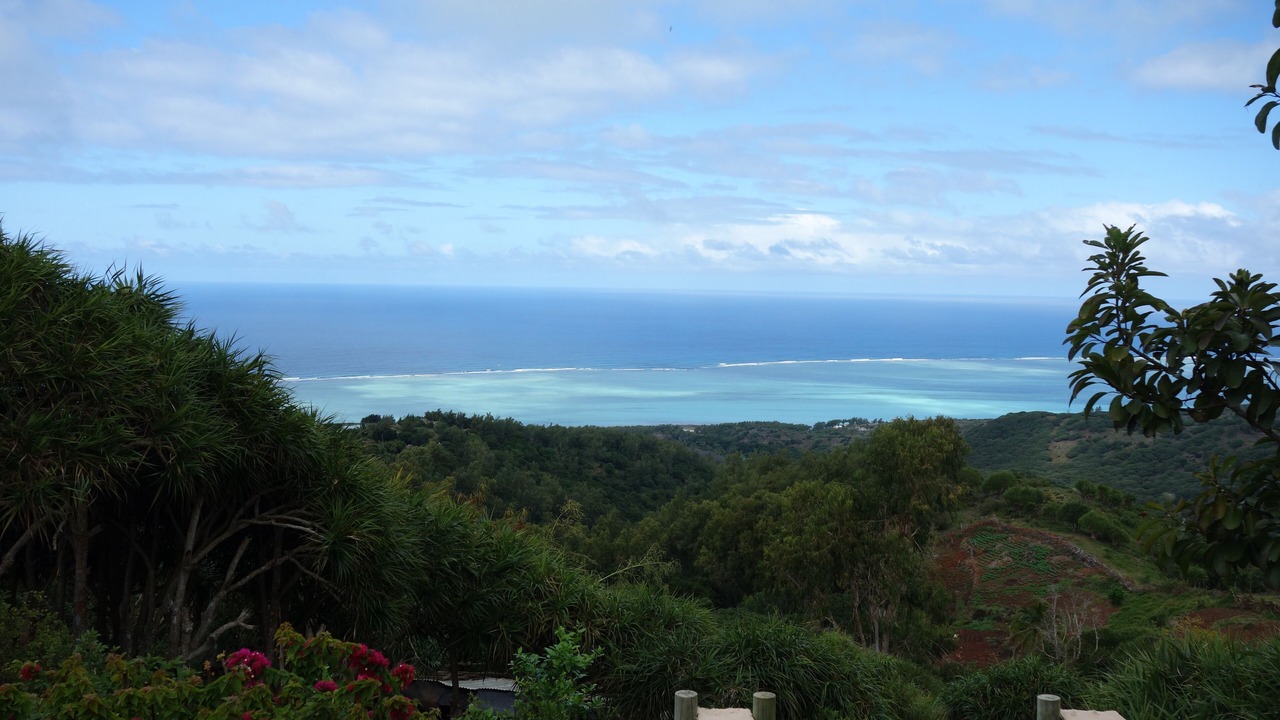 Photo of Others in Coromandel