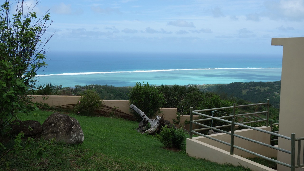 Photo of Outdoor in Coromandel