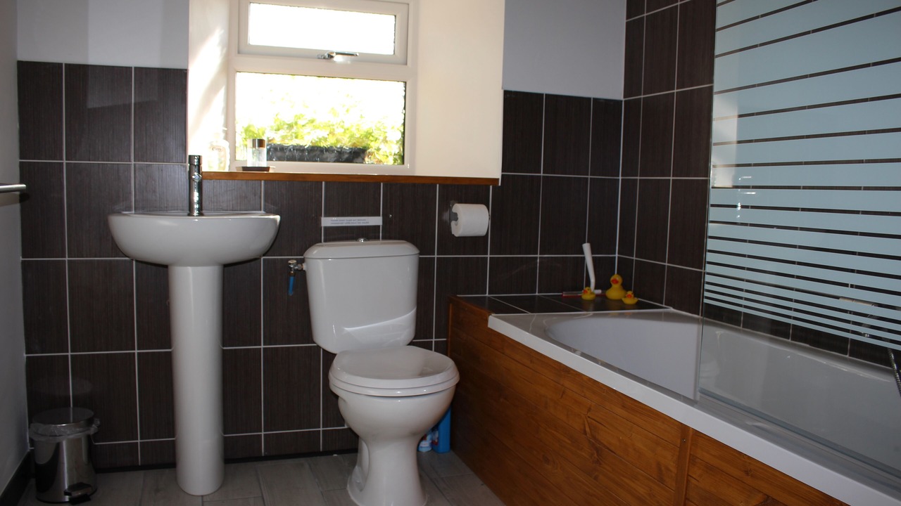 Photo of Bathroom in Saint-Aignan
