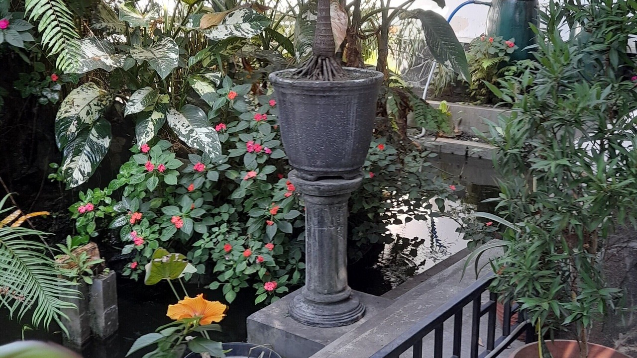 Photo of Outdoor in Salatiga
