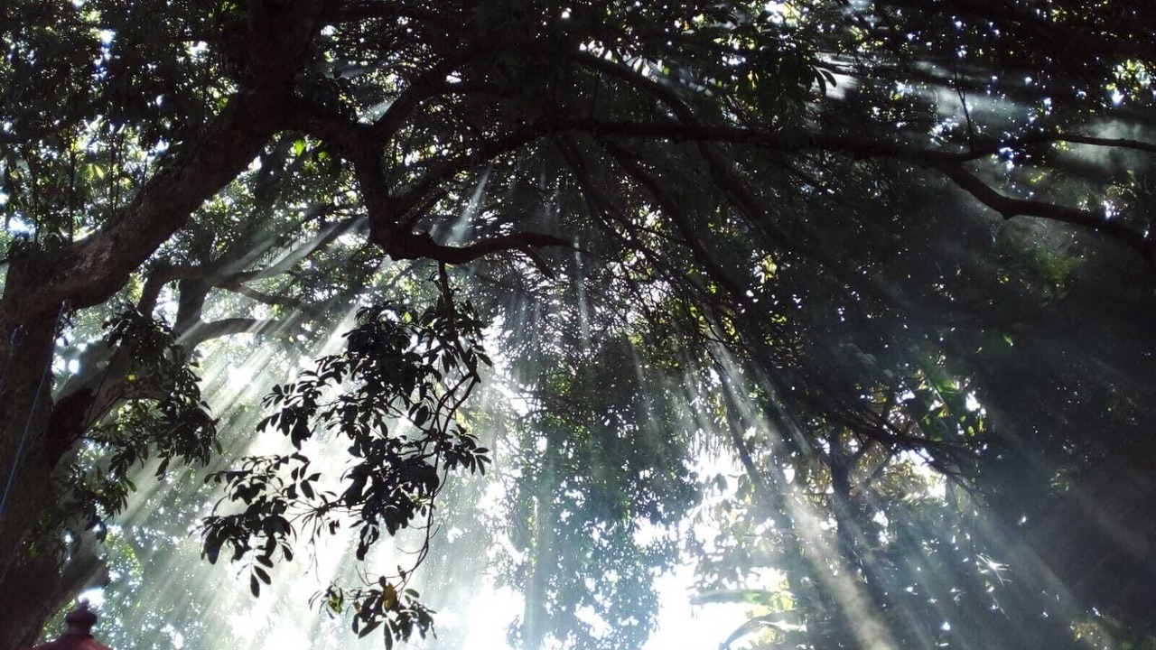 Photo of Outdoor in Salatiga