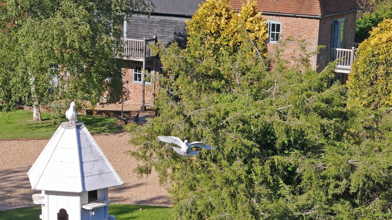Photo of Others in Sedlescombe