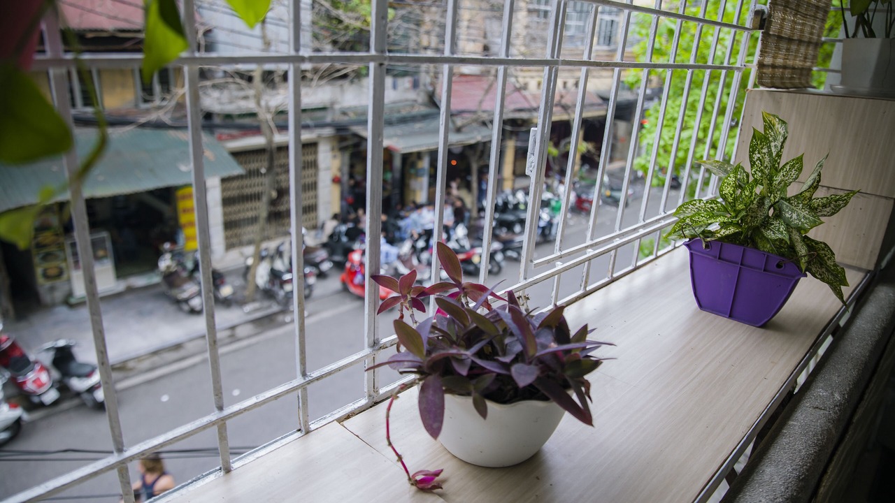 Photo of Outdoor in Hoan Kiem