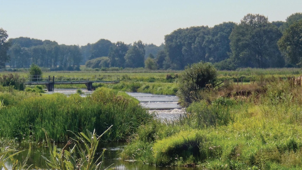 Photo of Others in Ommen