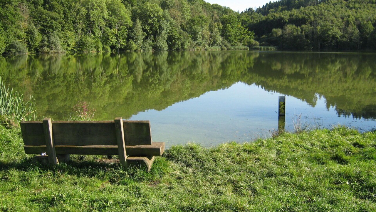 Photo of Others in Immerath