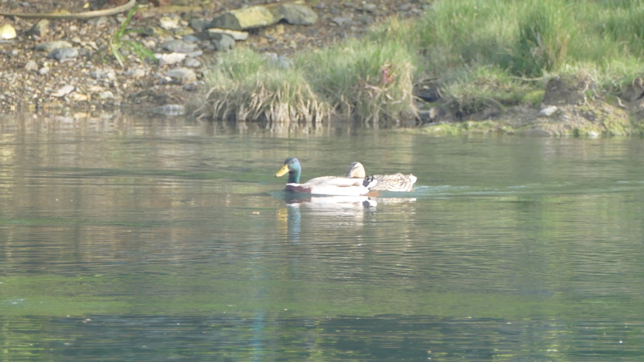 Photo of Outdoor in Fethard on Sea