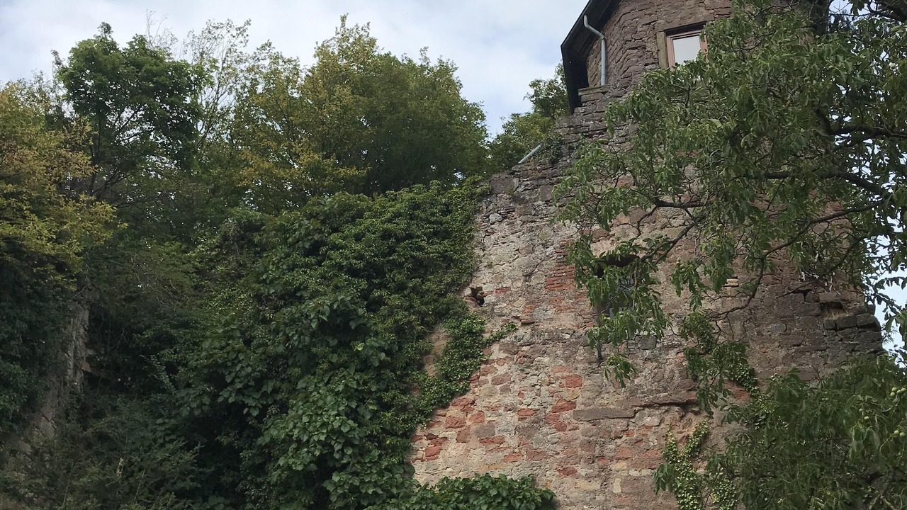 Photo of Others in Rhodt unter Rietburg
