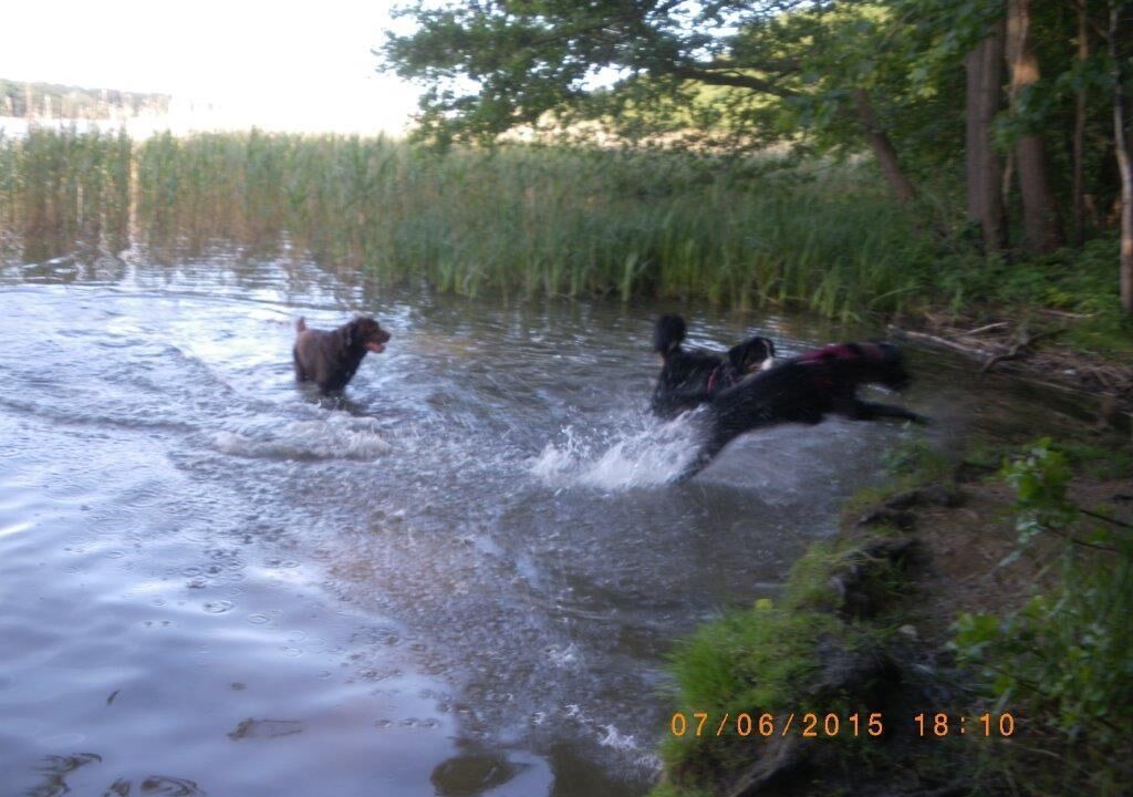 Photo of Others in Klosterwalde