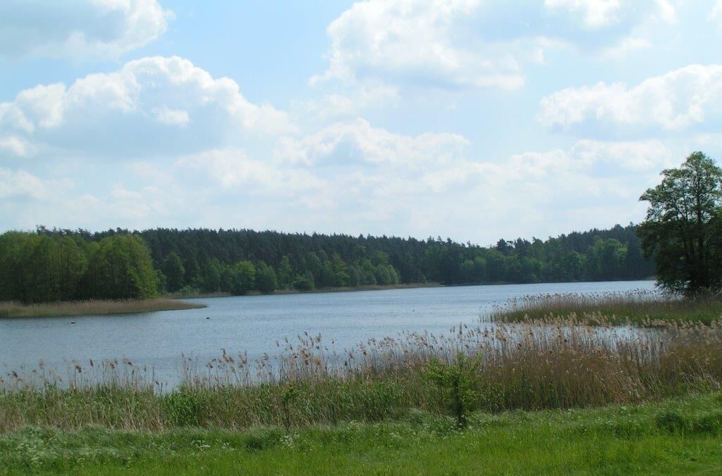 Photo of Others in Klosterwalde