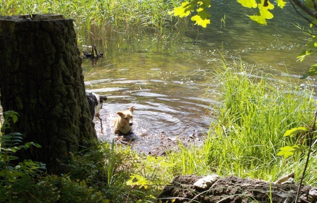 Photo of Others in Klosterwalde