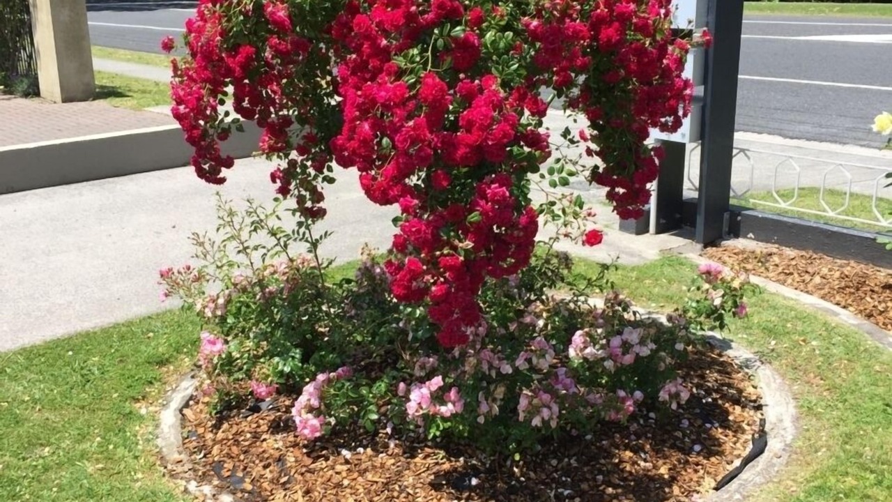 Photo of Outdoor in Cambridge