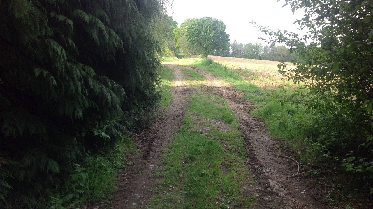 Photo of Outdoor in Lignol
